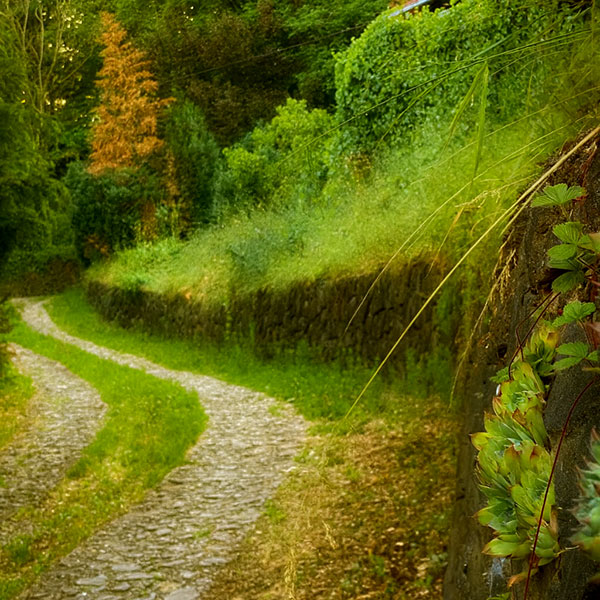 Fruška gora smeštaj – noćni pogled na Frušku goru